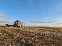 Recuperações extrajudiciais no agro sobem, mas total de processos é menor