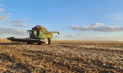 Etanol de milho deve atingir 10 bilhões de litros no Brasil