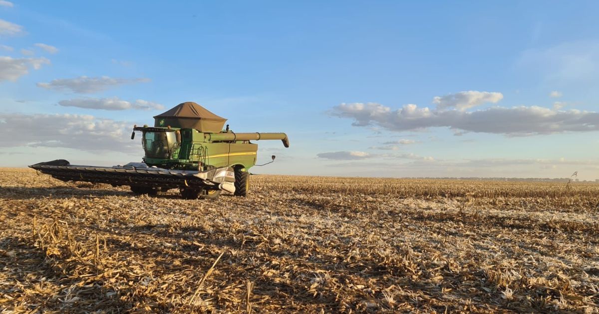 Etanol de milho deve atingir 10 bilhões de litros no Brasil