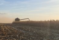 Setor de máquinas agrícolas deve crescer 3,4% em 2026 