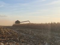 Setor de máquinas agrícolas deve crescer 3,4% em 2026 