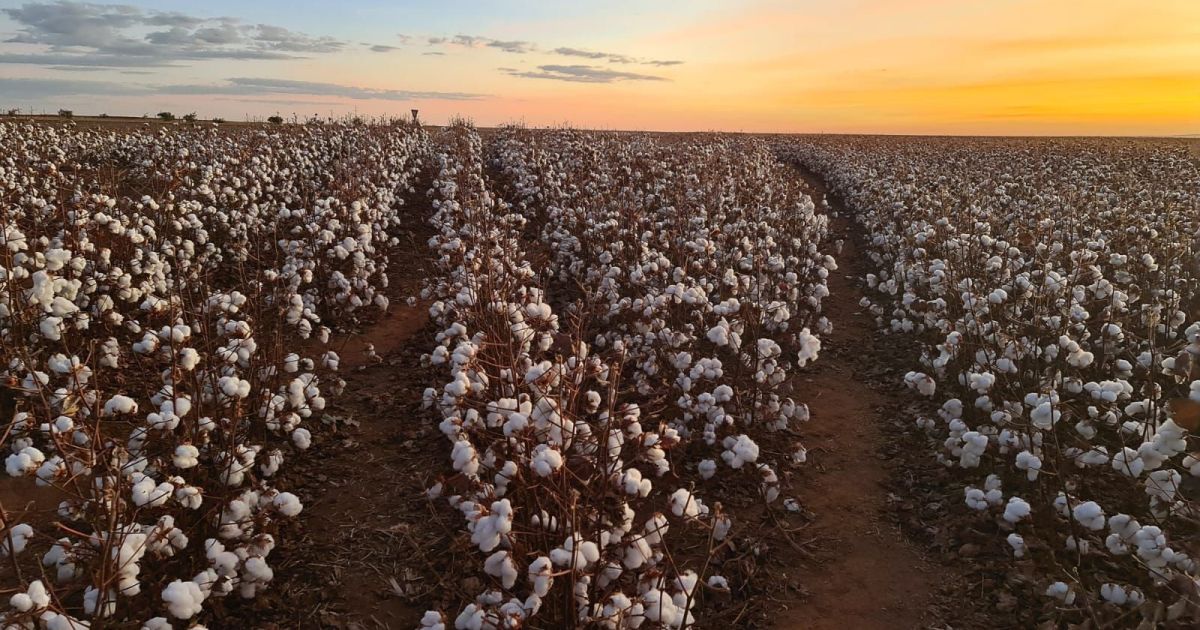 CNA aciona STF contra uso de dados de desmatamento em crédito rural