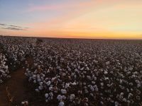 Agtech Stenon capta 18 milhões de euros em rodada série b