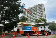 Comlurb fará poda de árvores sem corte de energia no Rio