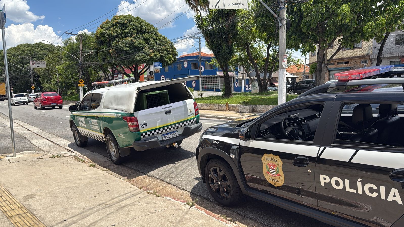 comércio ilegal sp