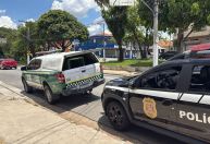 230 animais são salvos de comércio ilegal em São Paulo