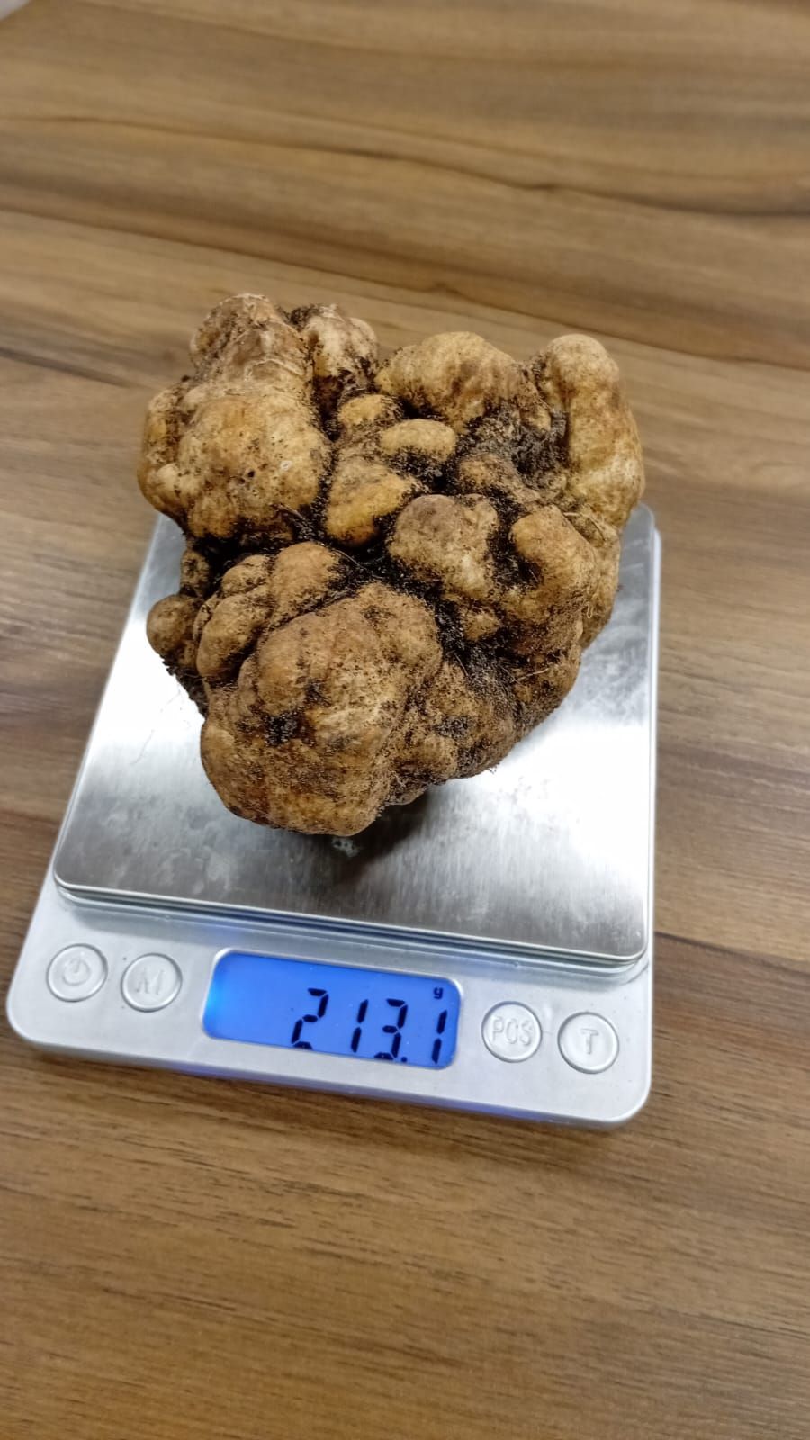 Trufa de 213 gramas em balança de peso • Divulgação: Fazenda Pecanera