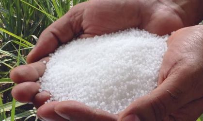 Fertilizantes Heringer informa renúncia de presidente