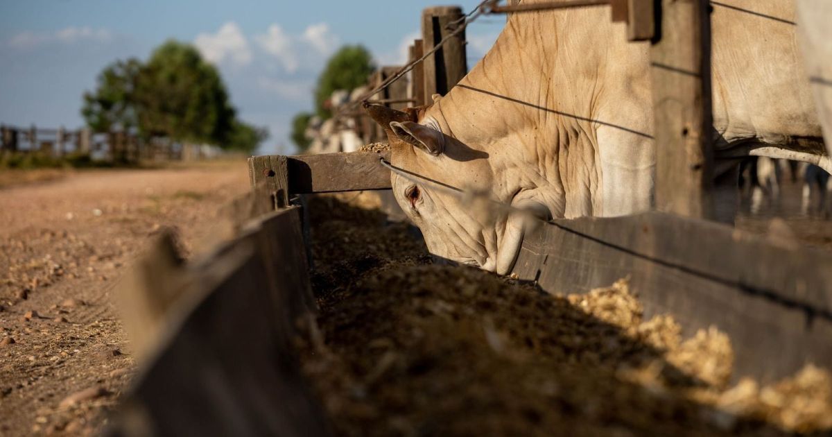 Governo Zera Tarifas de Insumos e Reforça Defesa Comercial para Agro e Indústria