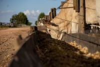 Governo zera tarifas de insumos e reforça defesa comercial para o agro