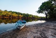 Amazônia: áreas protegidas têm menor desmatamento em mais de uma década