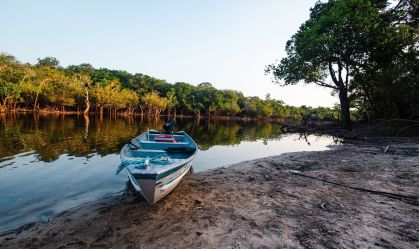 Amazônia: áreas protegidas têm menor desmatamento em mais de uma década