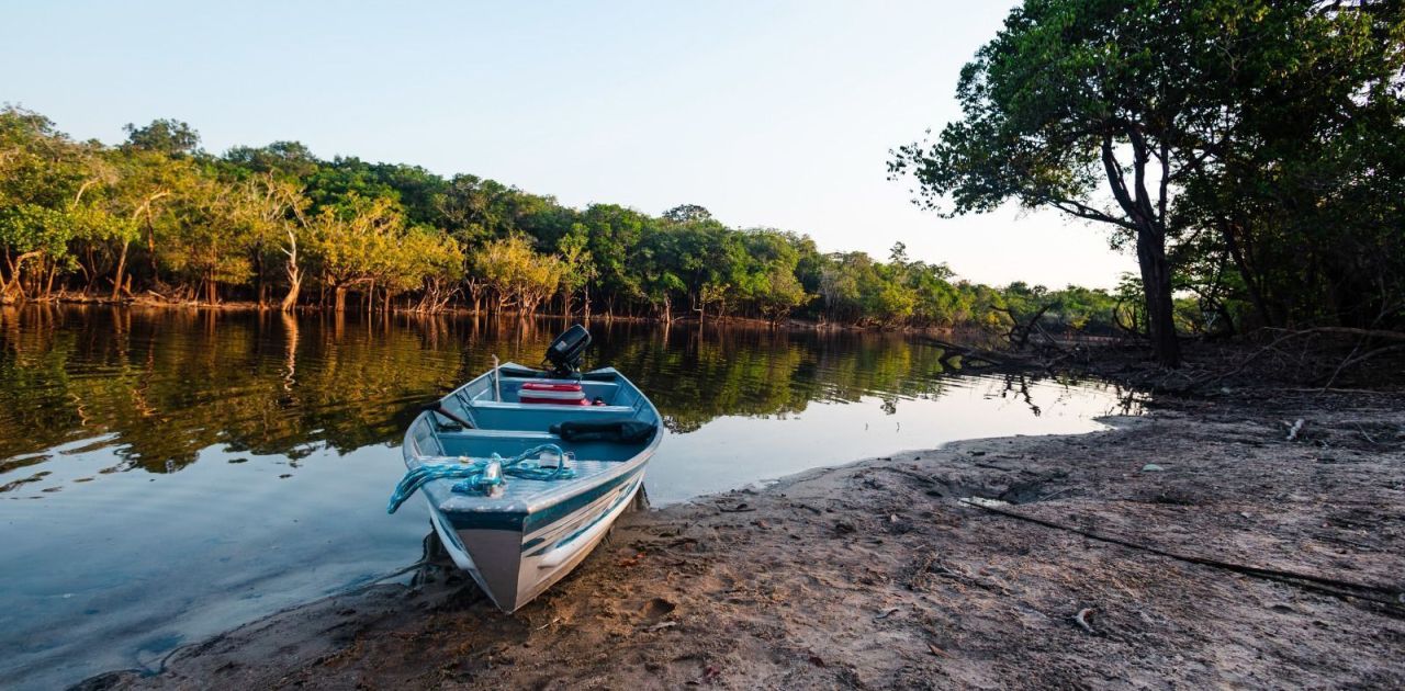 Amazônia: Produção Sustentável Impulsiona Economia e Preservação