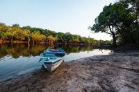 Amazônia: áreas protegidas têm menor desmatamento em mais de uma década