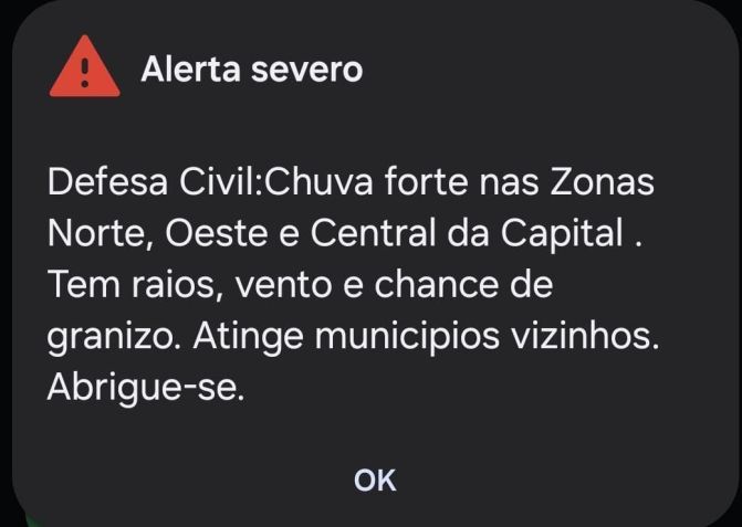 Alerta da Defesa Civil emitido nesta quinta-feira (29) • Reprodução
