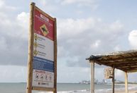 Tubarão-cabeça-chata é apontado como responsável por morte de adolescente