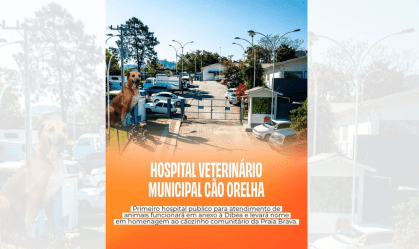 Primeiro hospital veterinário público de Floripa homenageará Cão Orelha