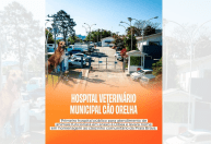 Primeiro hospital veterinário público de Floripa homenageará Cão Orelha