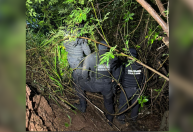 Polícia encontra corpo de corretora desaparecida em GO; dois foram presos