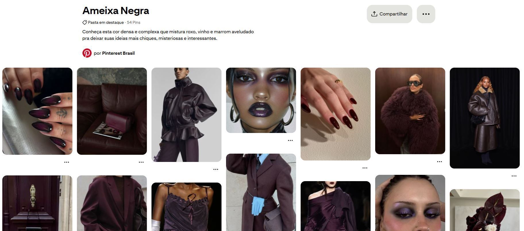 Ameixa negra • Reprodução/Pinterest