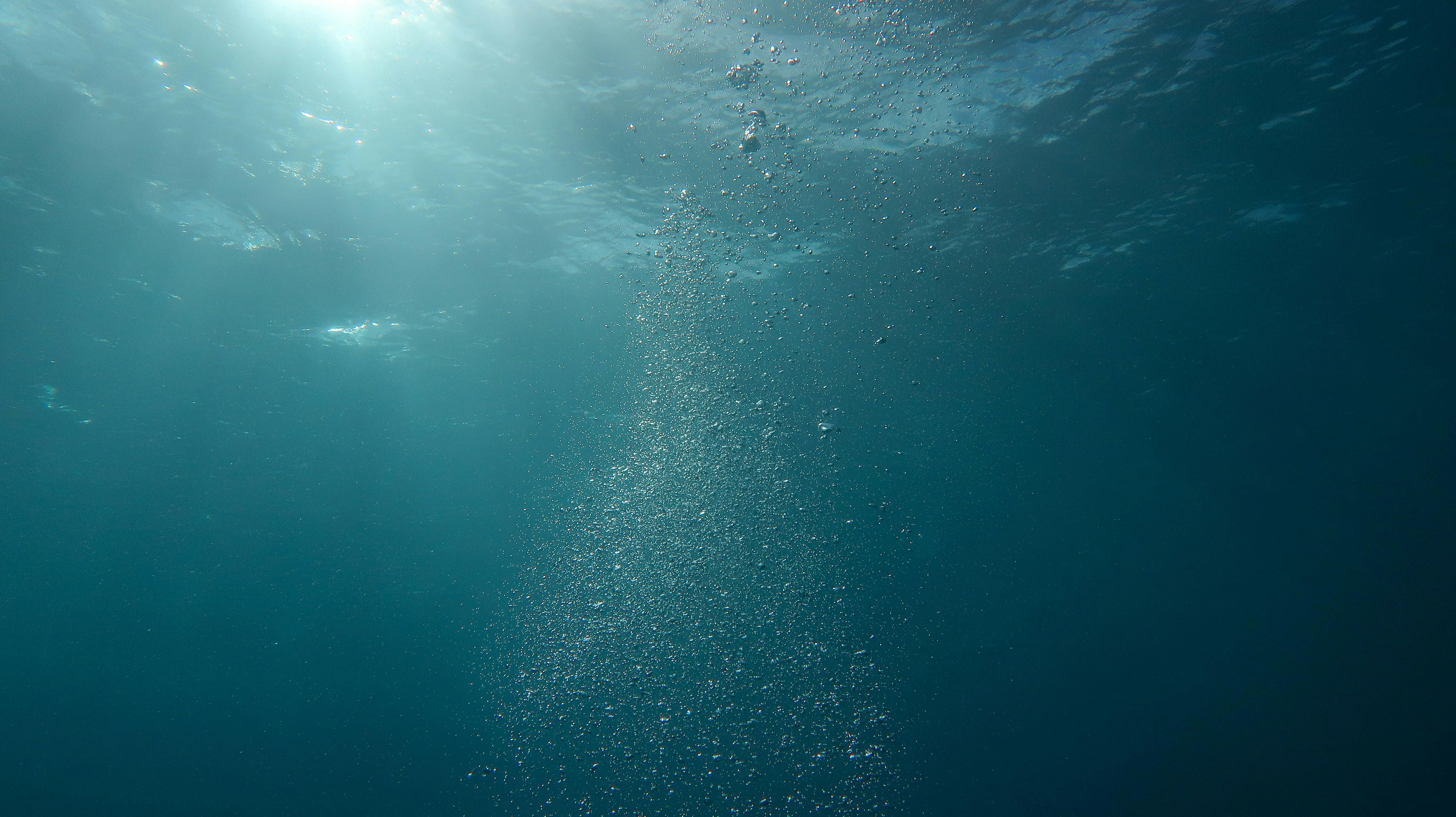 Quase invisível a olho nu, o zooplâncton ajuda a retirar carbono da atmosfera ao transportá-lo para as profundezas do oceano.