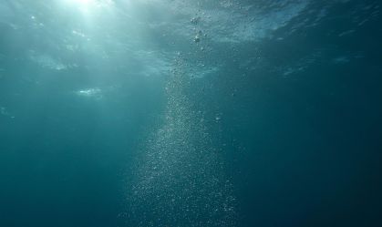 Quase invisível a olho nu, o zooplâncton ajuda a retirar carbono da atmosfera ao transportá-lo para as profundezas do oceano.