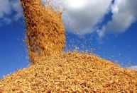 Acordo Mercosul-UE: painel mostra oportunidades de exportação para empresas