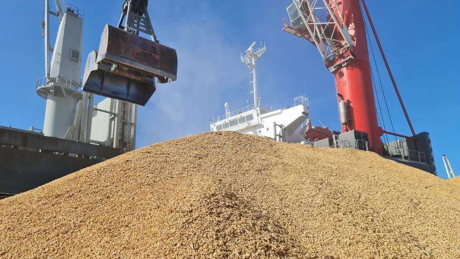 Exportações de arroz