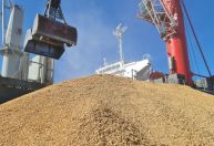 Exportações de arroz crescem em volume, mas recuam em receita