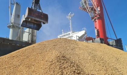 Exportações de arroz