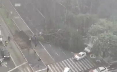 Chuva com raios em São Paulo derruba árvores e causa alagamentos
