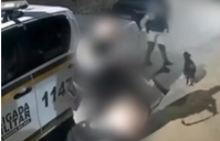 Vídeo: cão comunitário Negão é baleado por PM durante operação no RS