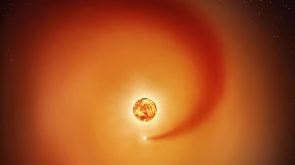 https://admin.cnnbrasil.com.br/wp-content/uploads/sites/12/2026/01/betelgeuse.avif?crop=1&h=630&w=1200