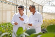 Basf adquire grupo de controle biológico AgBiTech