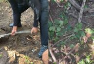 Polícia localiza cemitério clandestino e uma pessoa é presa no Rio