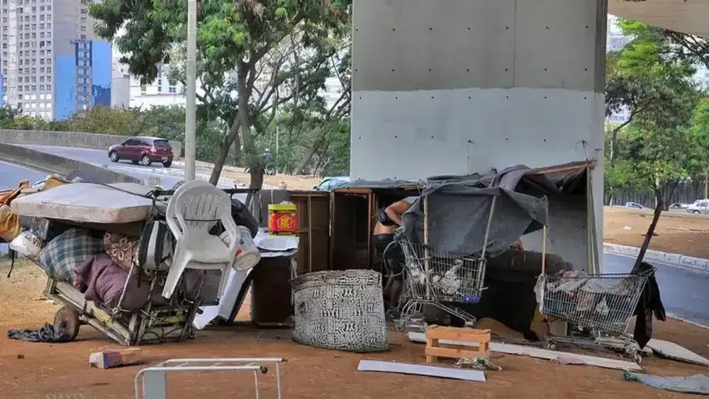 Moradores em situação de rua podem entrar com pets em abrigos de BH após aprovação de lei