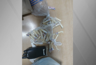 Homem que mutilou cavalo vivo em Bananal é preso em operação contra tráfico