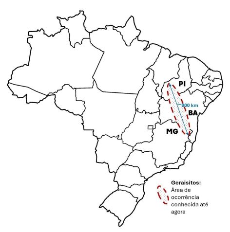 Área de extensão descoberta com vestígios do impacto • Alvaro Crósta/Unicamp