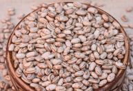 No Dia Mundial do Feijão, Embrapa apresenta novas cultivares no Show Rural