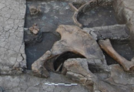 Ferramenta de madeira mais antiga servia para abate de elefantes na Grécia