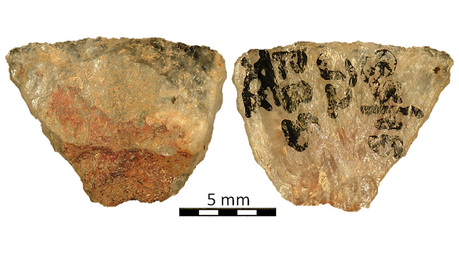 Essas pontas de flecha de 60.000 anos ainda conservam vestígios do veneno usado por caçadores-coletores