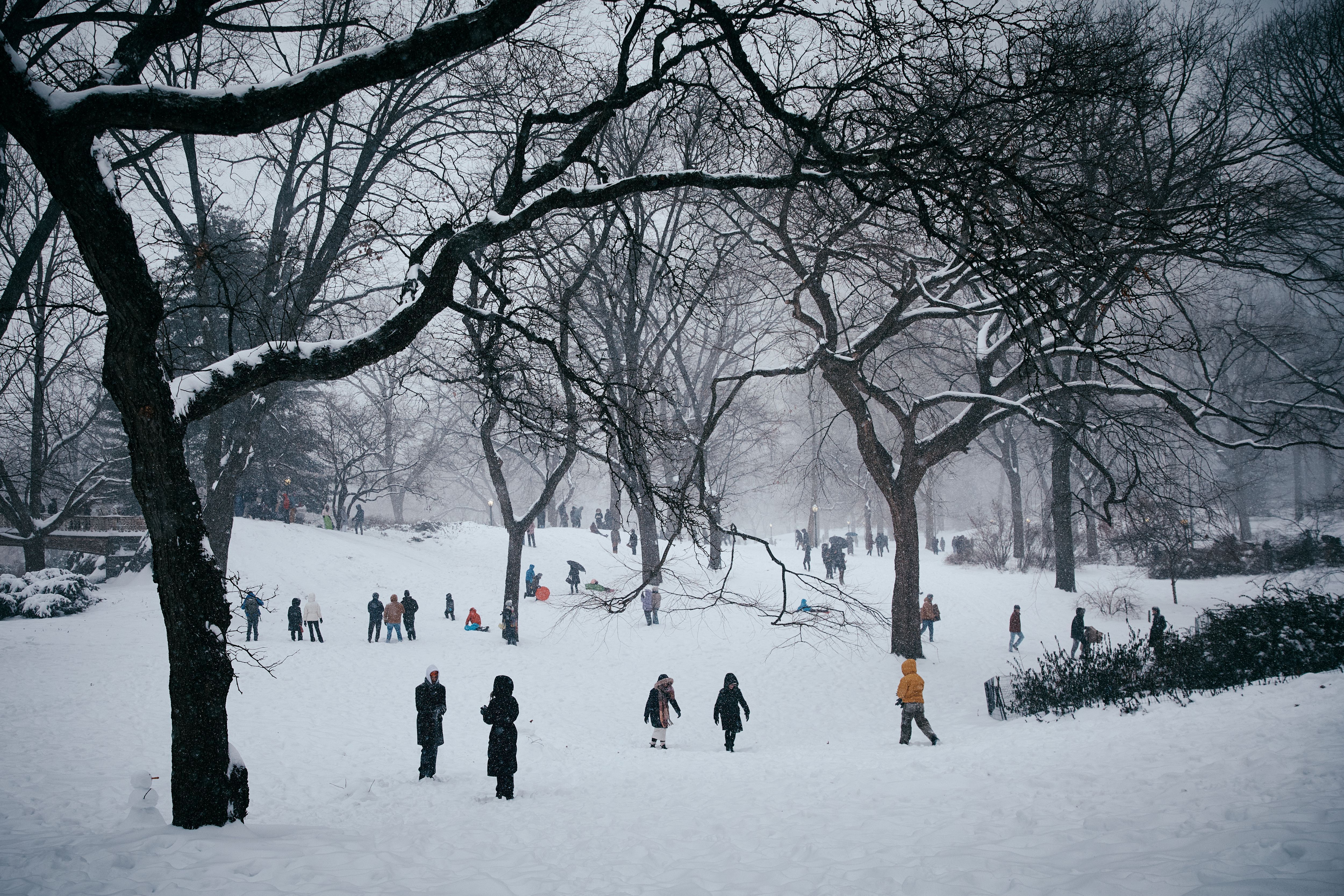 Pessoas aproveitam o tempo no Central Park durante uma nevasca em 25 de janeiro de 2026, na cidade de Nova York