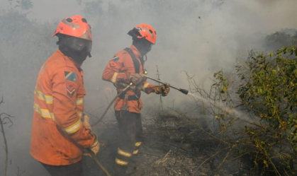 Focos de incêndios no Pantanal aumentaram 164% em janeiro; entenda
