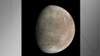 Lua se afasta da Terra cerca de 4 cm por ano; entenda fenômeno