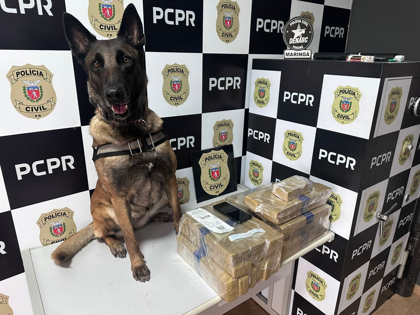 CADELA-APLAUDIDA-PR-12/01/2026