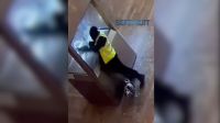 Roubo no Louvre: Novo vídeo mostra momento em que ladrões pegam joias