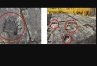 Mesmo com falha e aconselhada a desistir, Nasa mandará astronautas para Lua