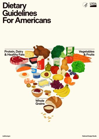 A atualização mais recente incluirá imagens de uma pirâmide invertida — subvertendo as representações visuais tradicionais da dieta americana • HHS/USDA