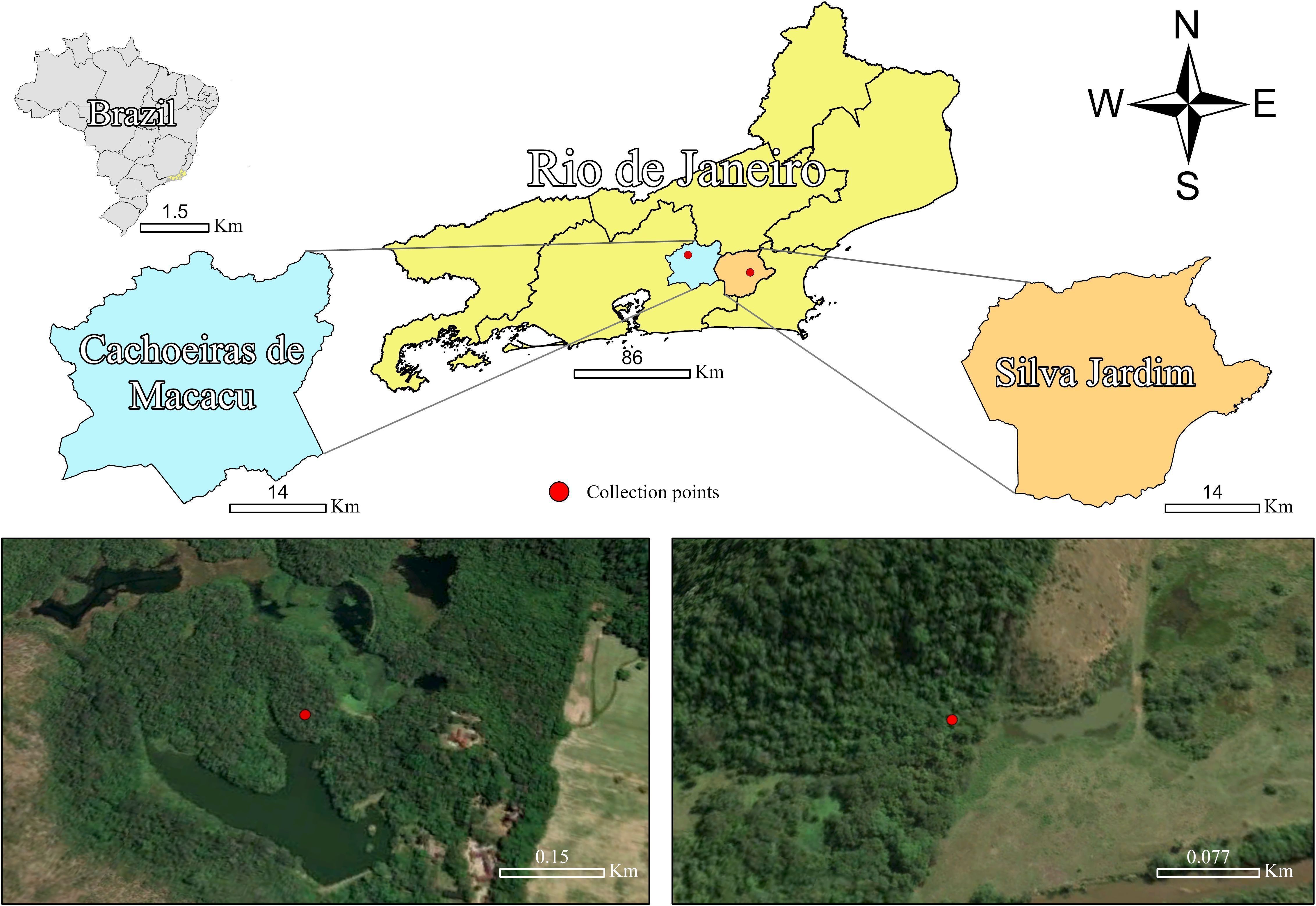 Mapa dos pontos de coletas dos mosquitos, no Rio de Janeiro • Reprodução