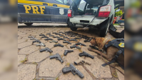 PRF apreende mais de 30 pistolas na Dutra que iam para o Complexo do Alemão